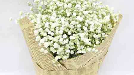 Florist Singapore