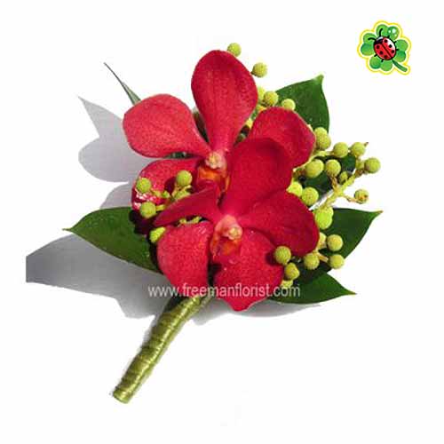 CORSAGE CG20