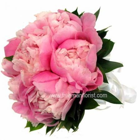 Peony (HB51)