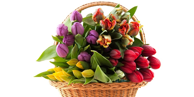 online florist in singapore