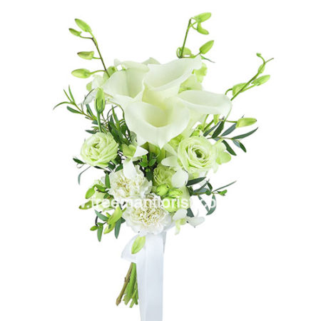 Cherish (HB111)