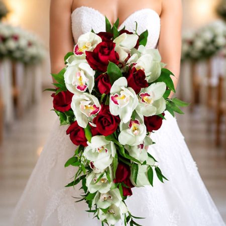 Red Romance (HB113)