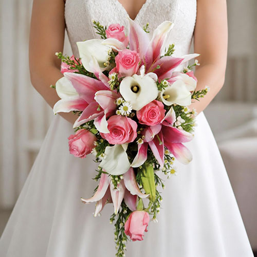 A Pink Romance (HB101)