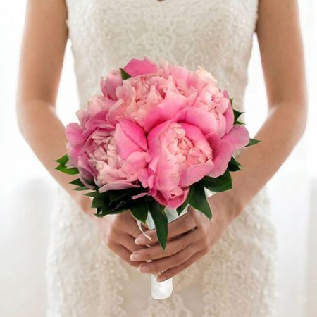 Peony (HB51)