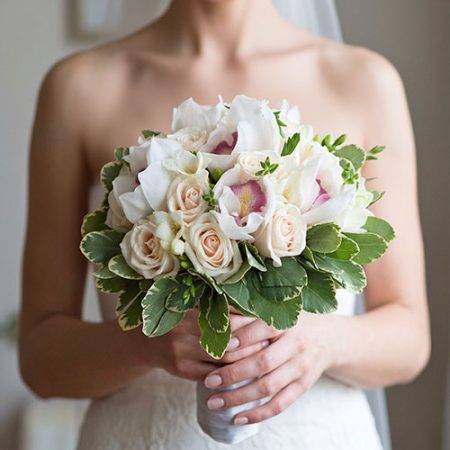 Sinead (HB95)