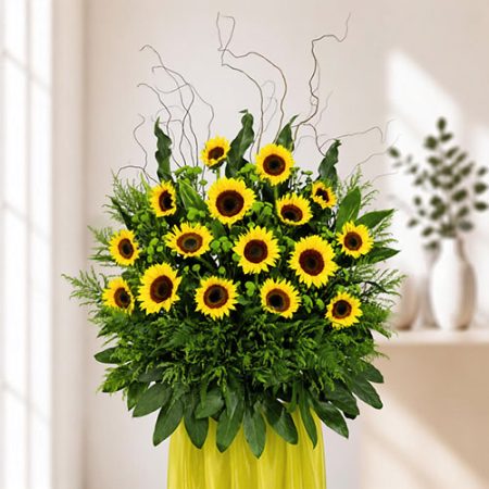 Sunny Surprise (FS44)