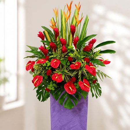 Sparkling Celebration (FS45)