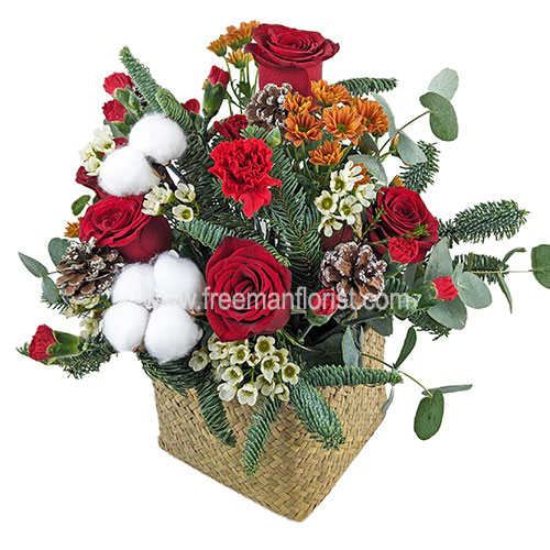 PXL_20241108_041811958(web)$100