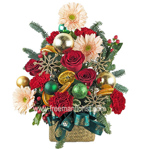 PXL_20241108_071206987(Web)$100