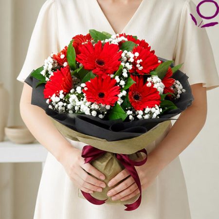 Amity (BQ113)