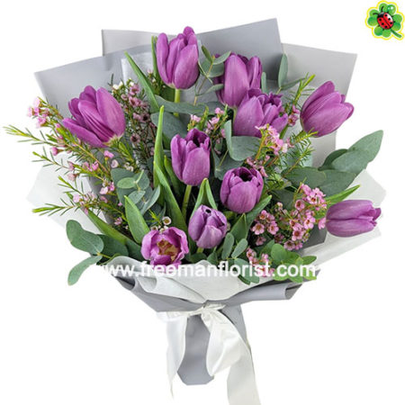 Yolanthe (BQ172) Yolanthe (BQ172)