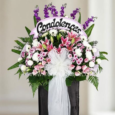 Pink Tribute (W23)