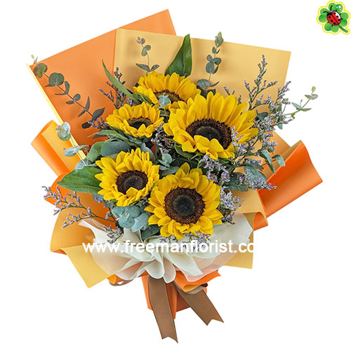 PXL_20260225_033825578(web)