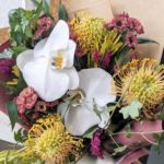 Image 12: A mixture of exotics - pin cushions, wild flowers and phalaenopsis orchids.